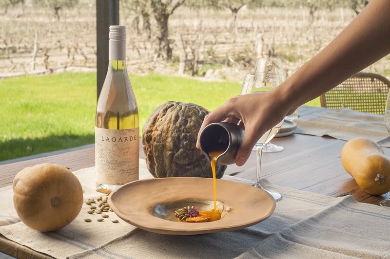 Zonda: Un Festín de Sabores y Elegancia en la Bodega Lagarde, Mendoza