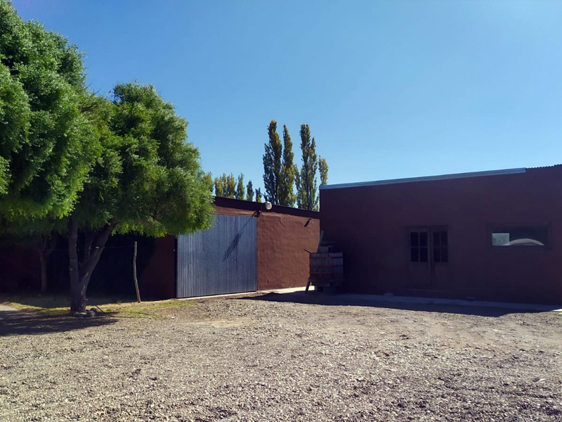 Unique Boutique Winery for Sale in Cuadro Nacional, San Rafael, Mendoza