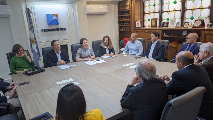 El encuentro estuvo liderado por Mario Lázzaro, gerente general de ProMendoza, y articiparon ademáse representantes de otras entidades de Mendoza, como Graciela Rovera, por la Federación Económica de Mendoza; Juan Viciana, por la Unión Comercial e Industrial de Mendoza; Jorge Pérez Cuesta, por la Bolsa de Comercio; Federico Morábito, por la Agencia de Innovación, Ciencia y Tecnología; Marcelo Japaz, representando al Ministerio de Economía y Energía; Magdalena Pesce, gerente de WOFA, y Pablo Federico Smon, representante del Consulado de Eslovenia.