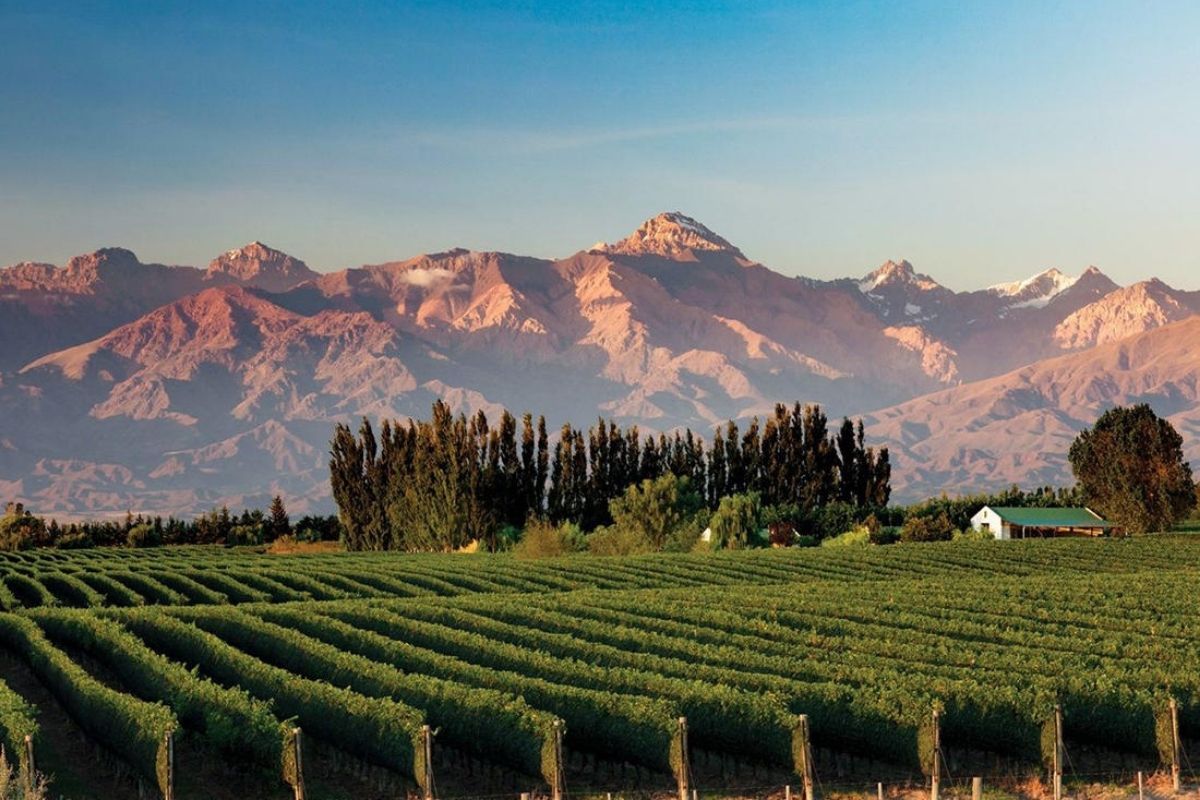 El Valle de Uco ofrece fincas grandes y pequeñas. 