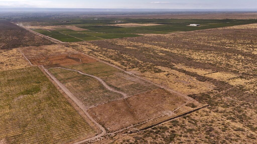 Finca en venta en Los Chacayes Valle de Uco Mendoza Argentina. Oportunidad inversión.