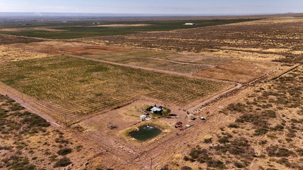 7 hectareas en venta en Los Chacayes Valle de Uco Mendoza Argentina