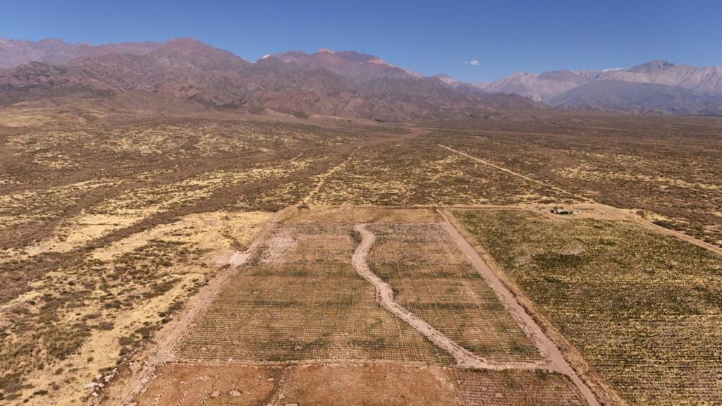 Vistas del viñedo en venta en zona exclusiva del valle de uco.