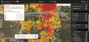 🏡 Luján de Cuyo: el lugar más buscado para vivir e invertir en Mendoza